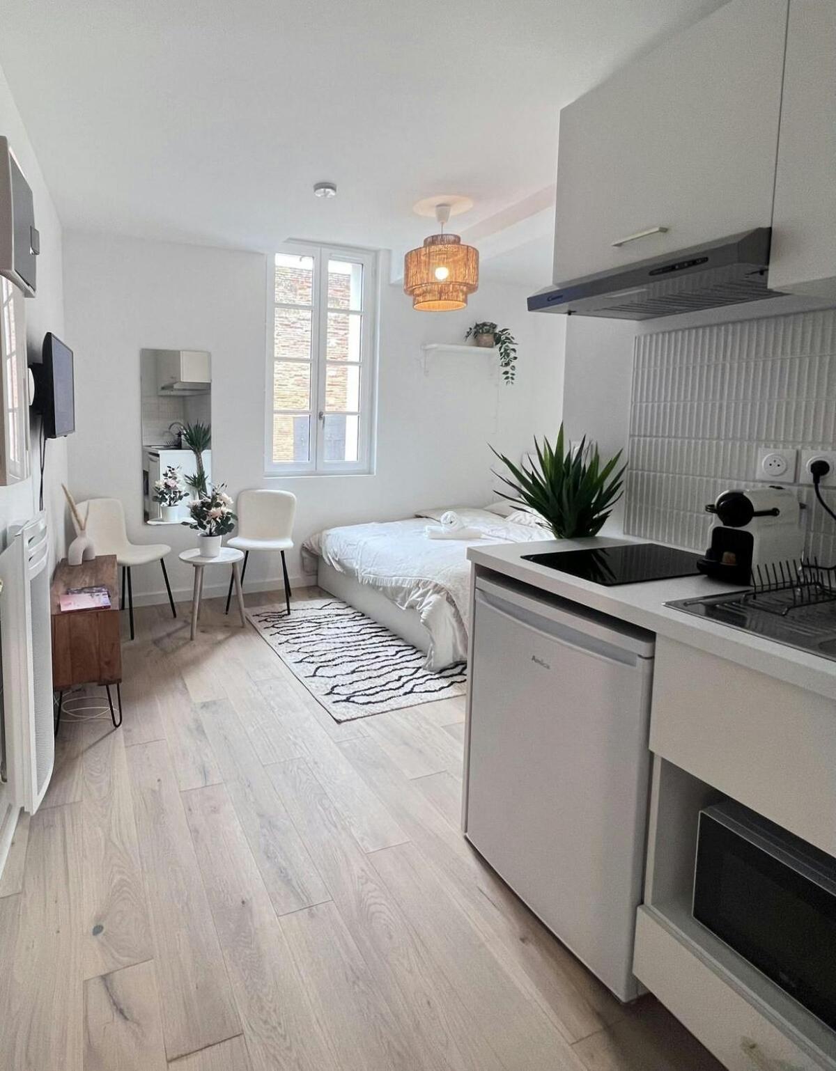 Le Saphir Apartment Toulouse Exterior foto